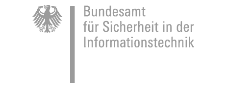 BSI logo in grey color