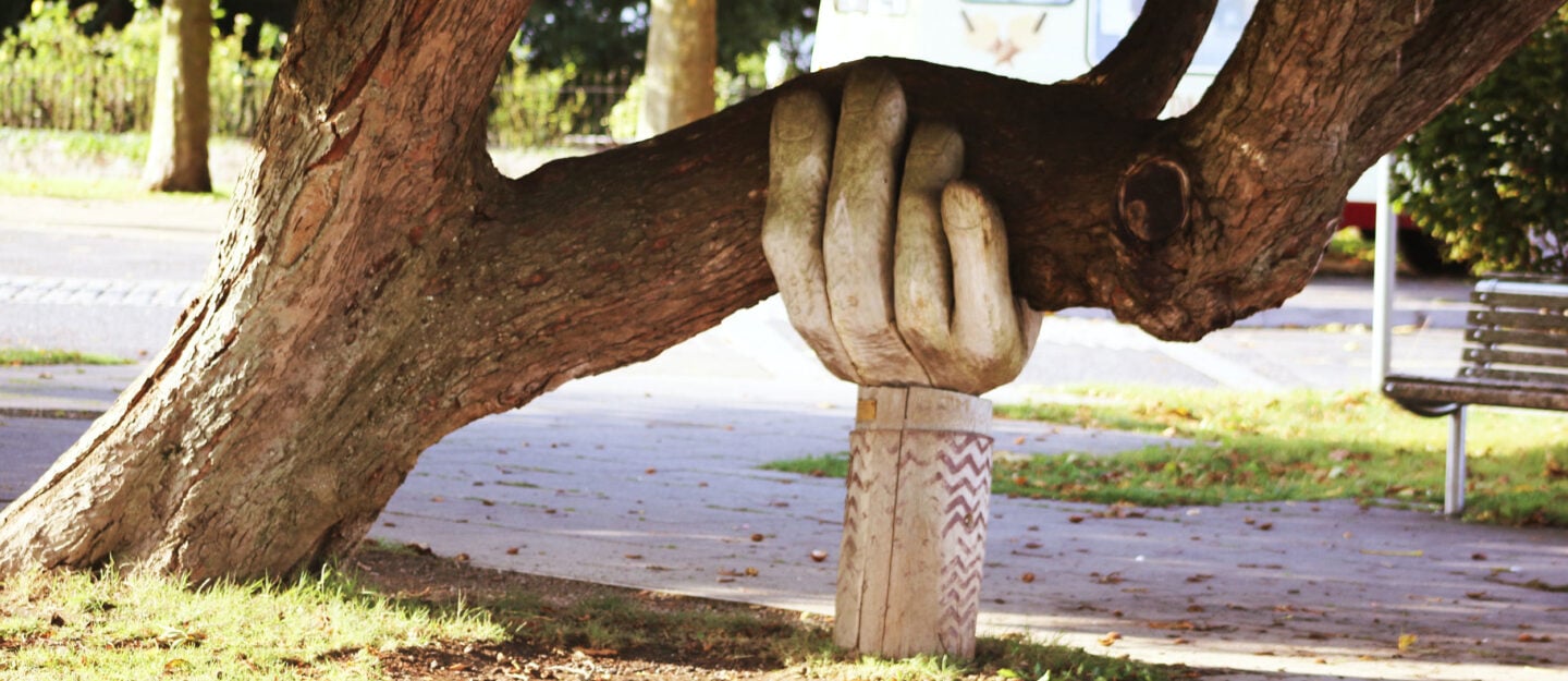 tree held by a wooden hand